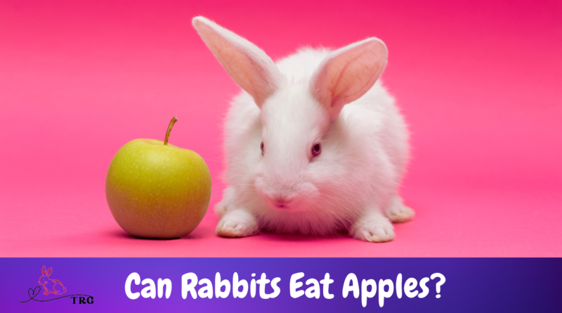 Can Rabbits Eat Apples