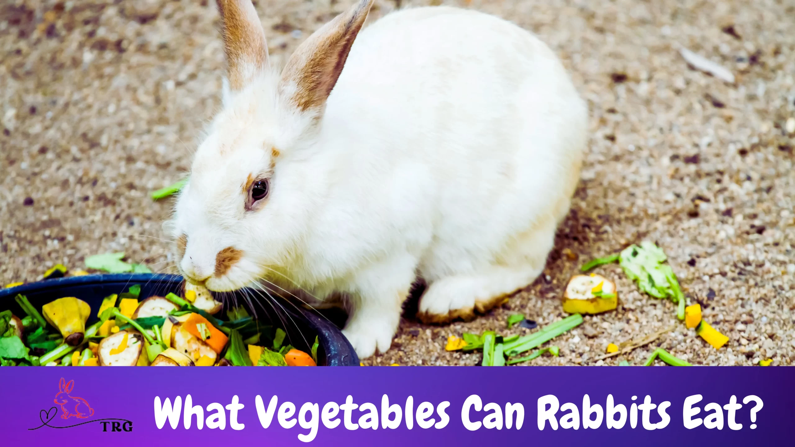 What Vegetables Can Rabbits Eat? Rabbit-Friendly Veggies!