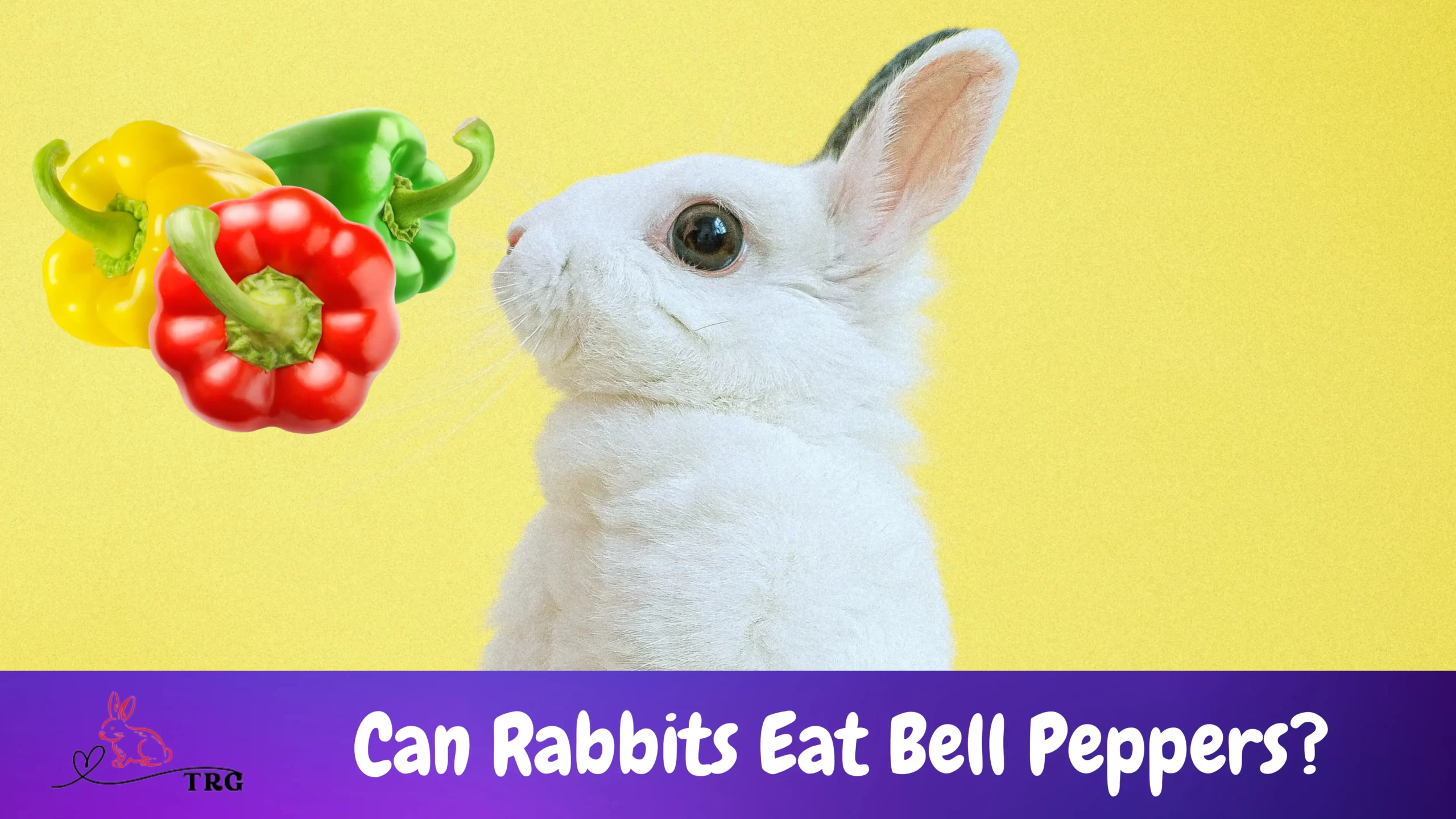 Can Rabbits Eat Bell Peppers? Benefits, How to Feed [Explained]