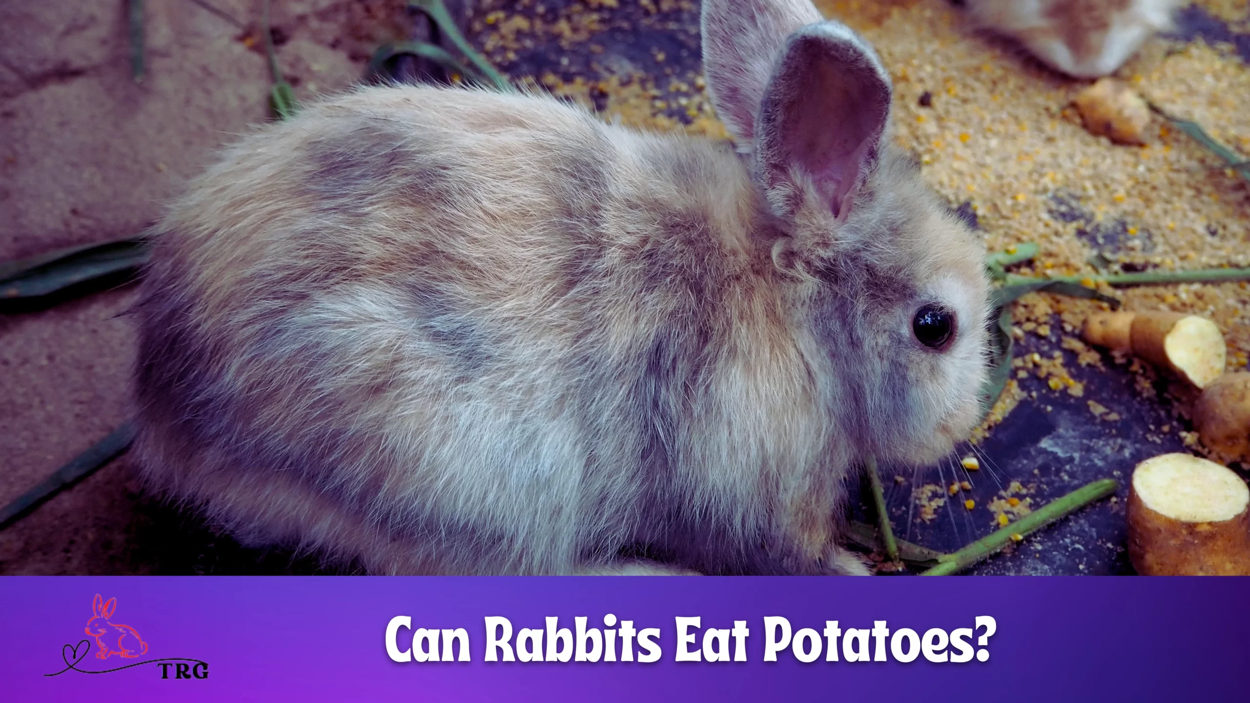 can-rabbits-eat-potatoes-are-potatoes-a-safe-snack-option