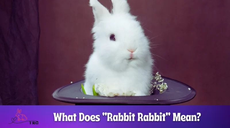 What Does Rabbit Rabbit Mean